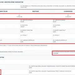 Urlop wychowawczy a składki ZUS - kto naprawdę płaci za nie?