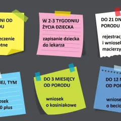 Lista formalności po urodzeniu dziecka: ubezpieczenie zdrowotne, rejestracja dziecka, wniosek o 500+, kosiniakowe i beciokowe.