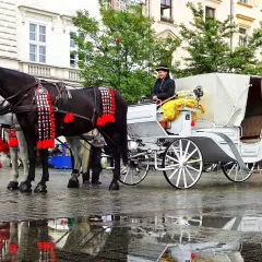 Małopolska gdzie z dzieckiem - najlepsze atrakcje dla rodzin