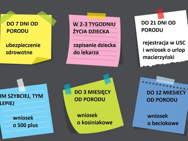 Lista formalności po urodzeniu dziecka: ubezpieczenie zdrowotne, rejestracja dziecka, wniosek o 500+, kosiniakowe i beciokowe.